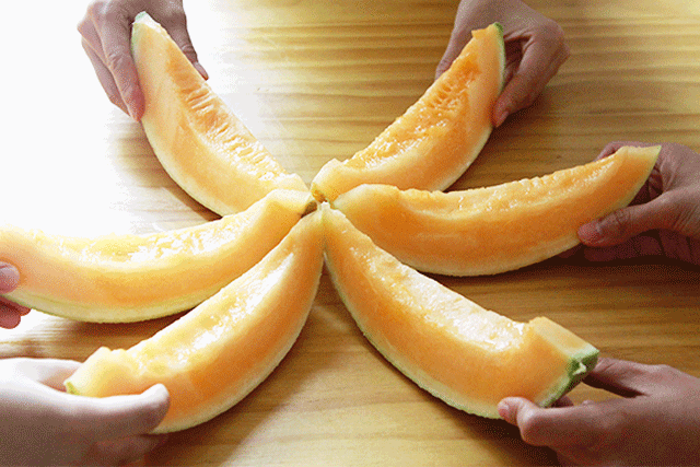 640_427gif 动态图 动图