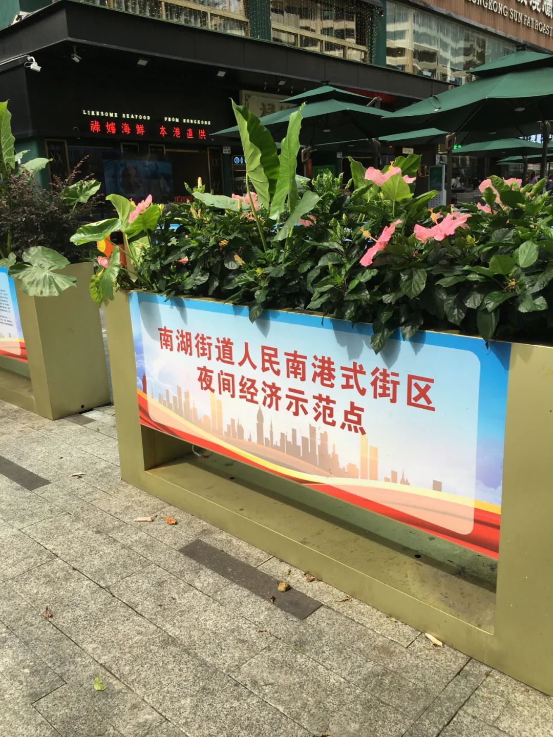 《旭光骑行深圳》第38站——罗湖区南湖街道