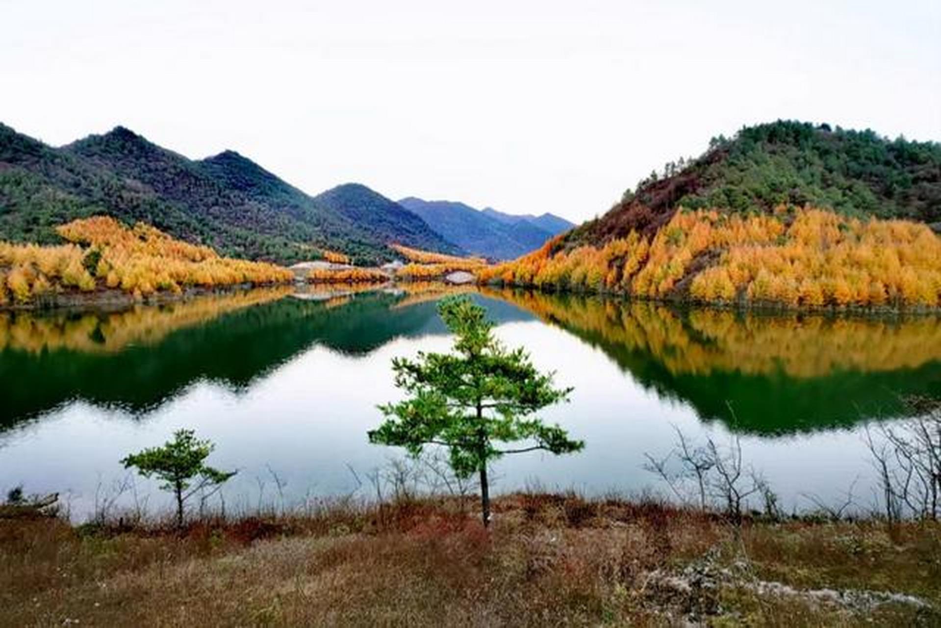 巫溪红池坝国家森林公园,位于重庆市巫溪县,是秋季旅游胜地.