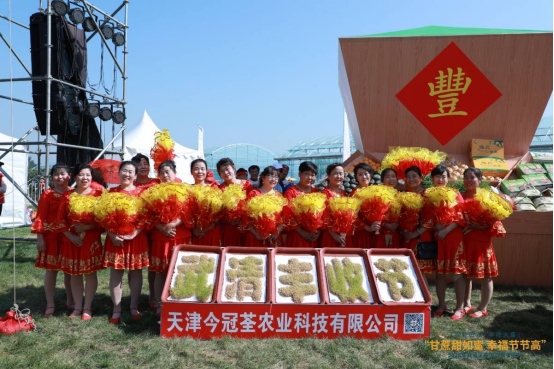 |礼赞丰收,2020年武清区中国农民丰收节盛大开启