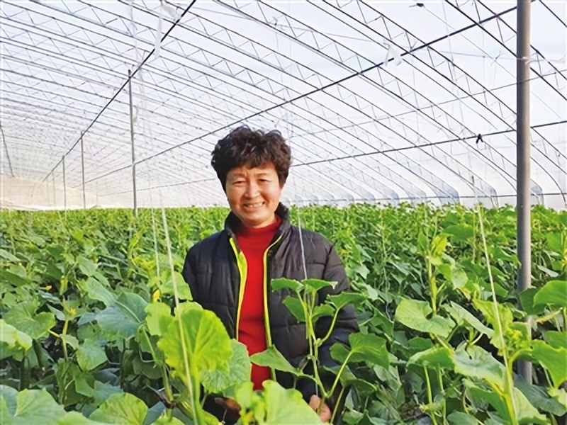 把家乡蔬菜卖到全世界!青岛农民正高级农艺师姜波"触网"闯天下