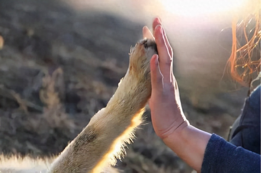 一份善心开启的缘分