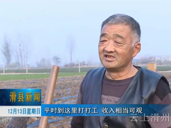 舍弃城市高薪 滑县一大学生回乡种花