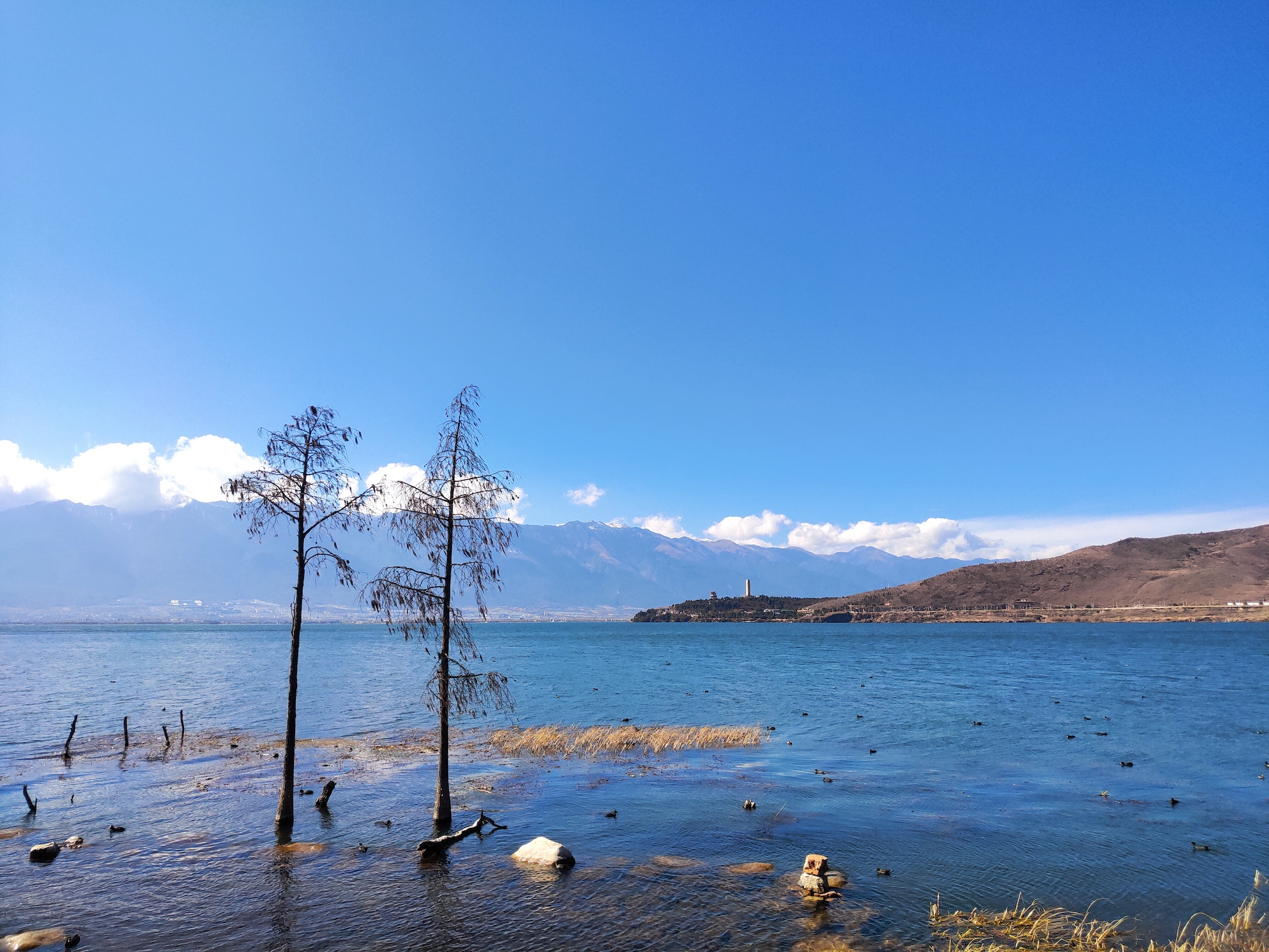 在大理旅行,吃耙肉饵丝,去海东随意漫步,感受绝美洱海风光