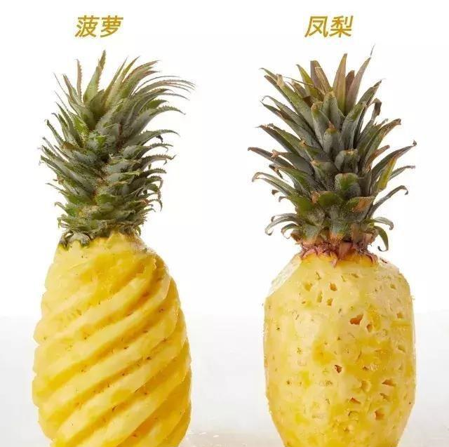 菠萝和凤梨有什么区别?