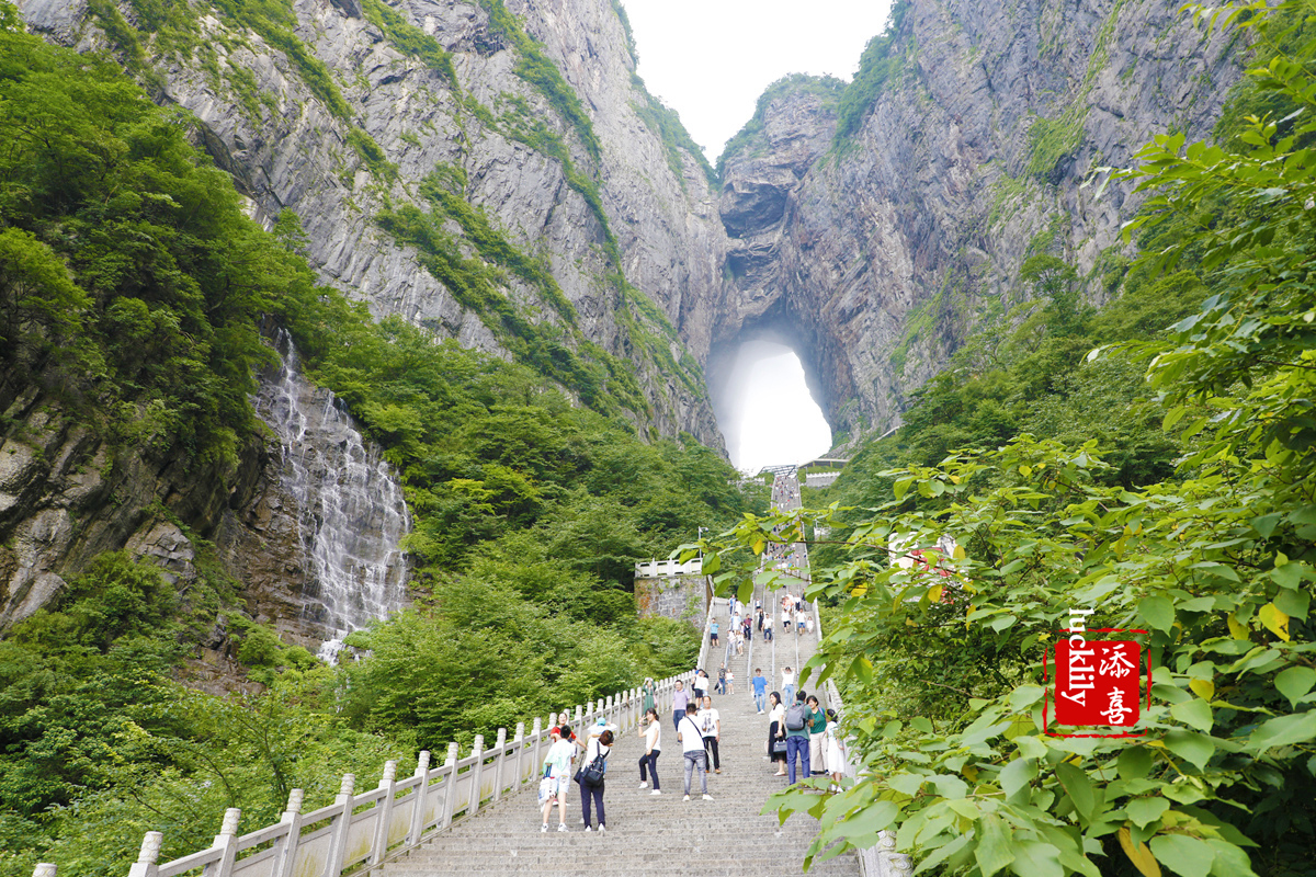 暑期親子自由行,張家界天門山國家森林公園一日遊攻略