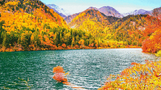 640_359gif 动态图 动图