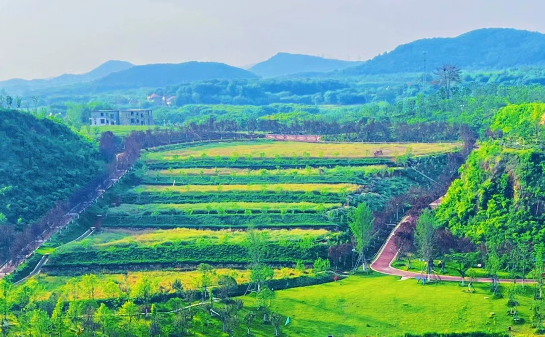 不能出國的日子,那就來江夏靈山的