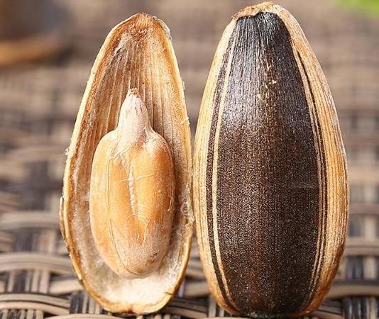 世界上最大瓜子,吃一个就能饱腹,被称为"瓜子之王"