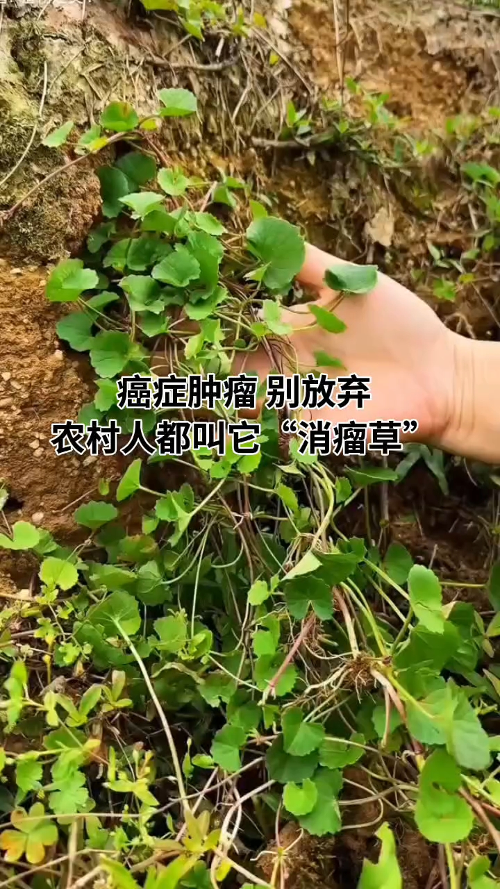 分享视频