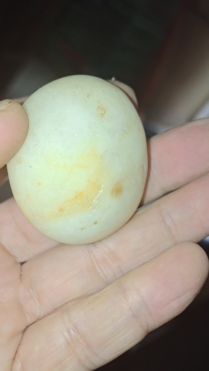 今天河边捡的,玉石,化石