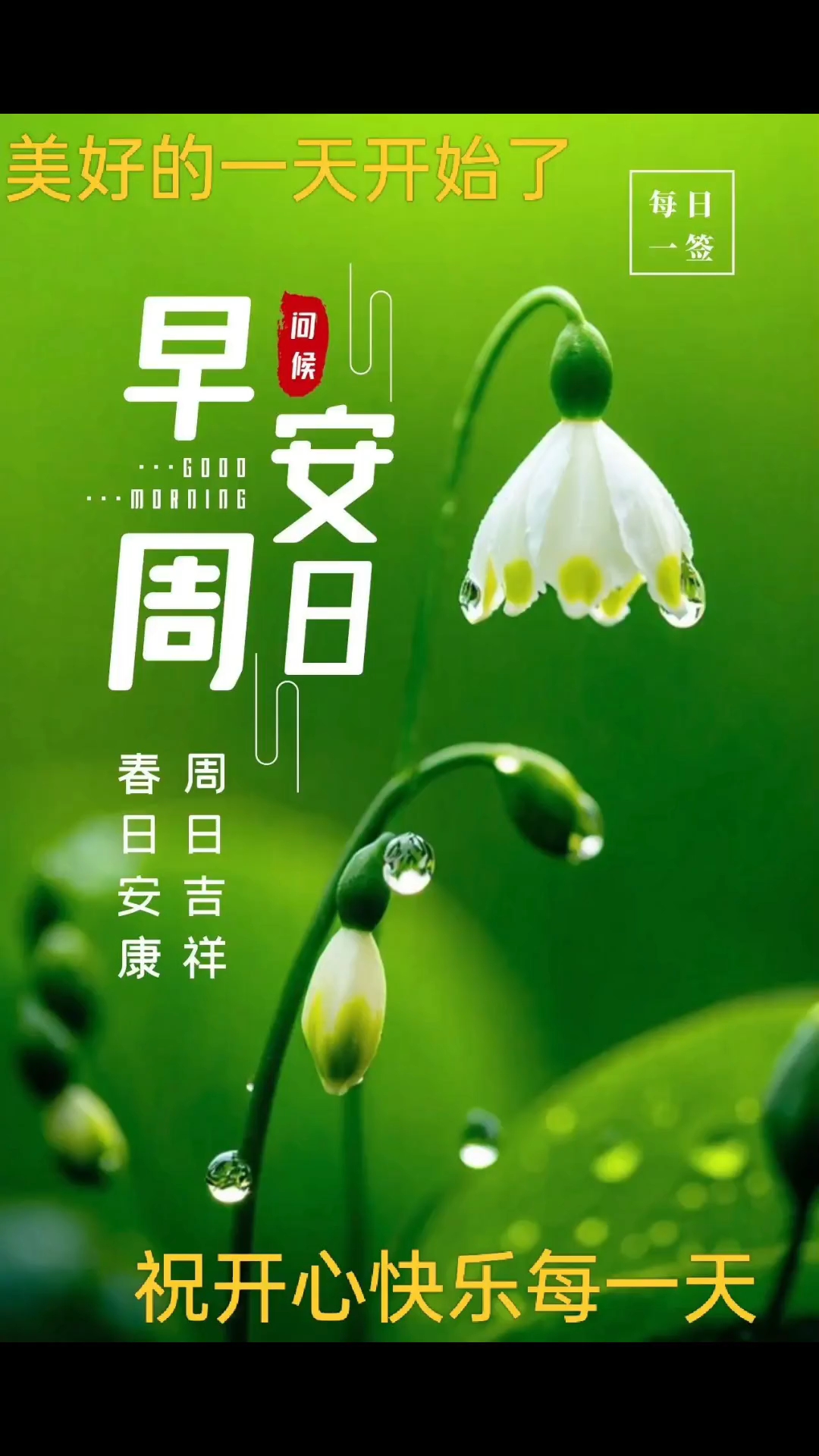 今天是星期天,大家早上好啊!