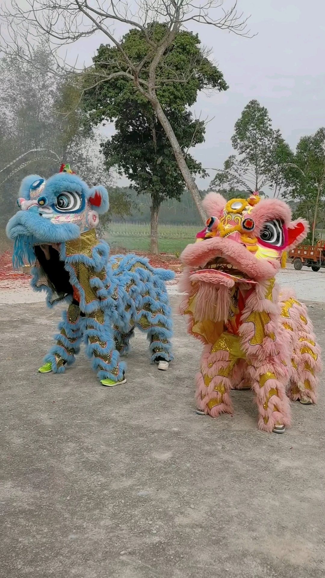 游神闹元宵舞狮子最可爱
