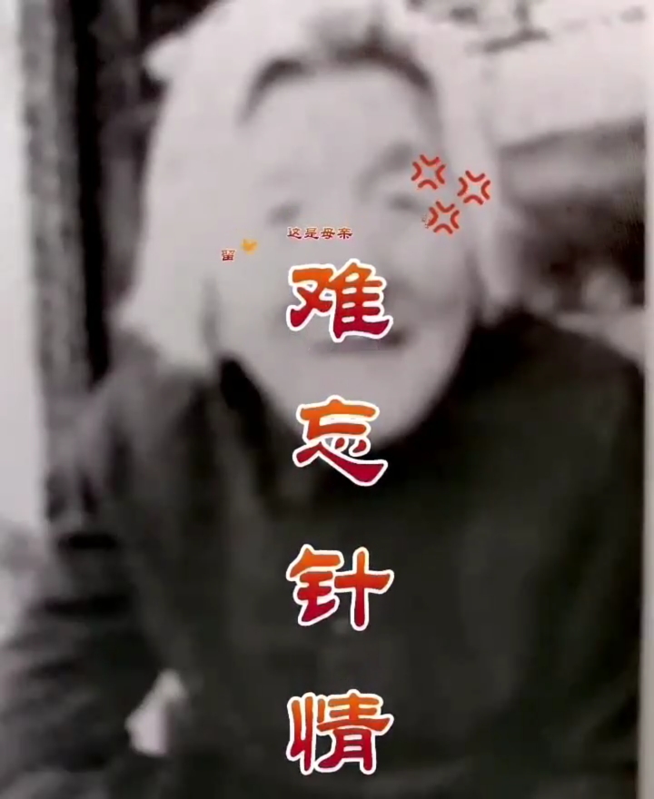 杨天旭(杨聚岗)散文:难忘针情