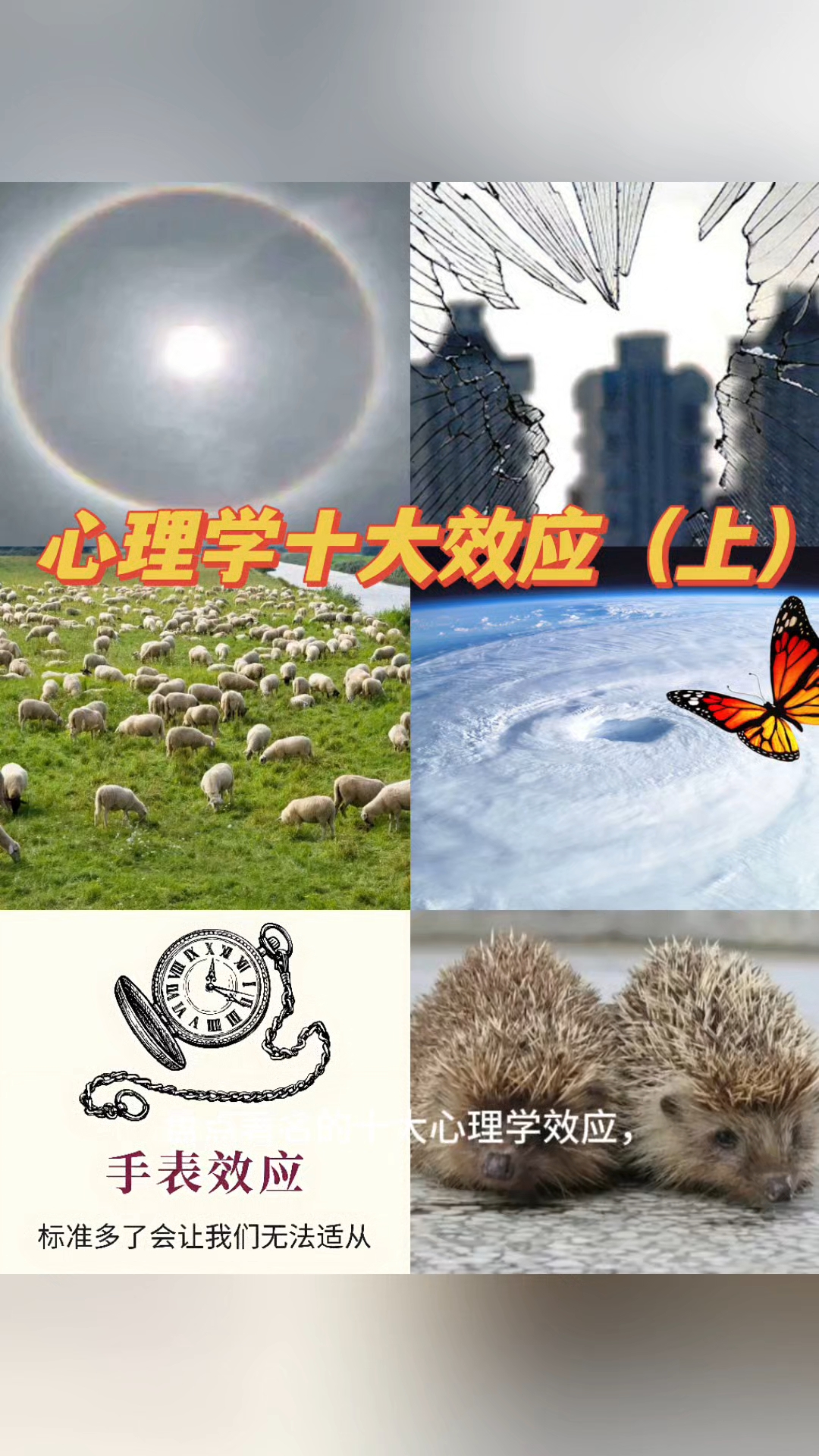 盘点十大心理学效应,来看看它们是如何潜移默化影响到你的?