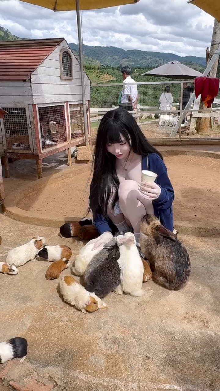 美女细心呵护的喂养一群小兔