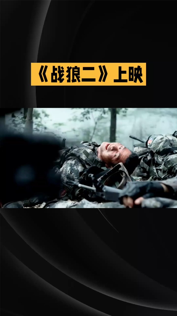 战狼二英文影评