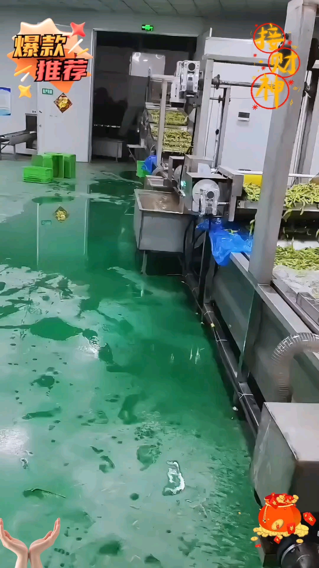 连续式速冻毛豆角加工线设备 全自动毛豆清洗风干速冻流水线