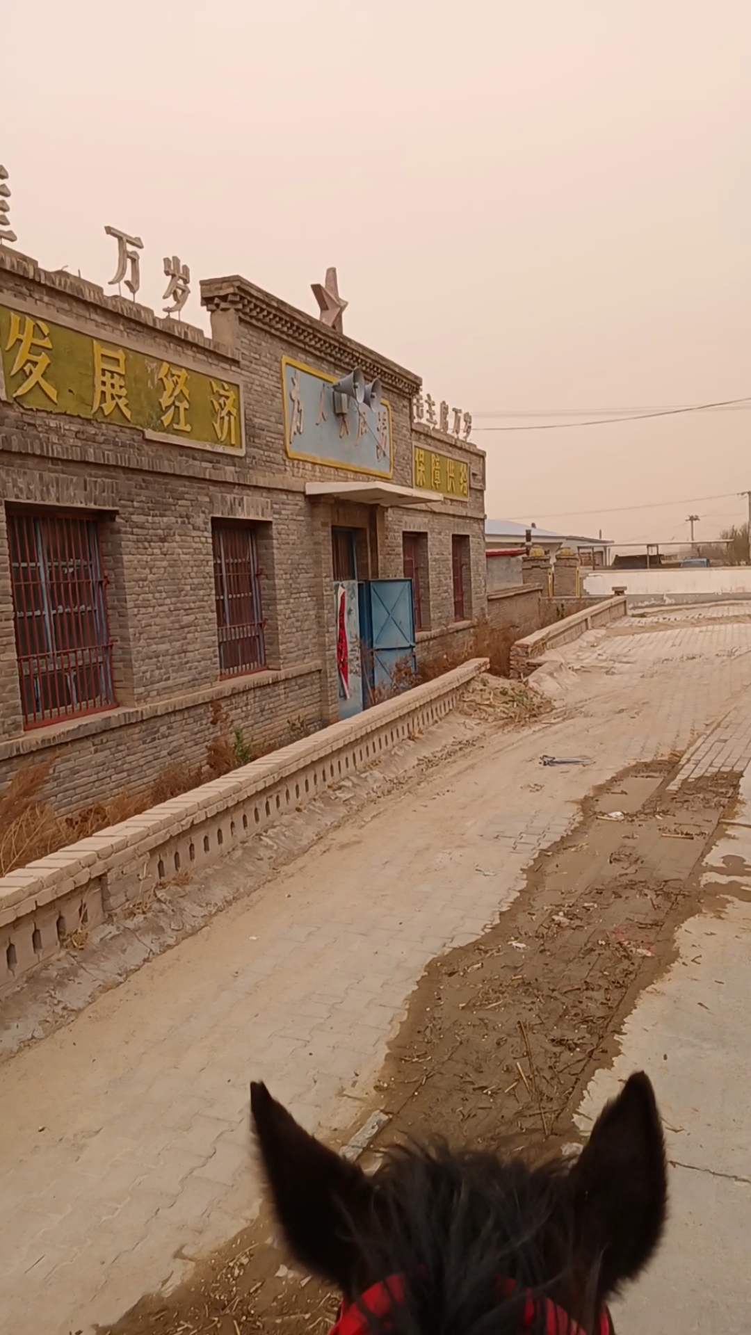 就像回到了小时候 达旗骑马到包头 马主板蛤蟆