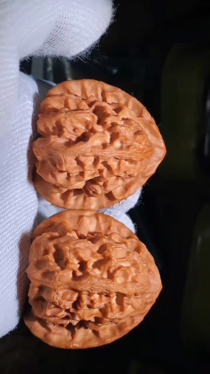 梨木台狮子头又名翻天印.主筋对称 大肚平底纹路粗犷