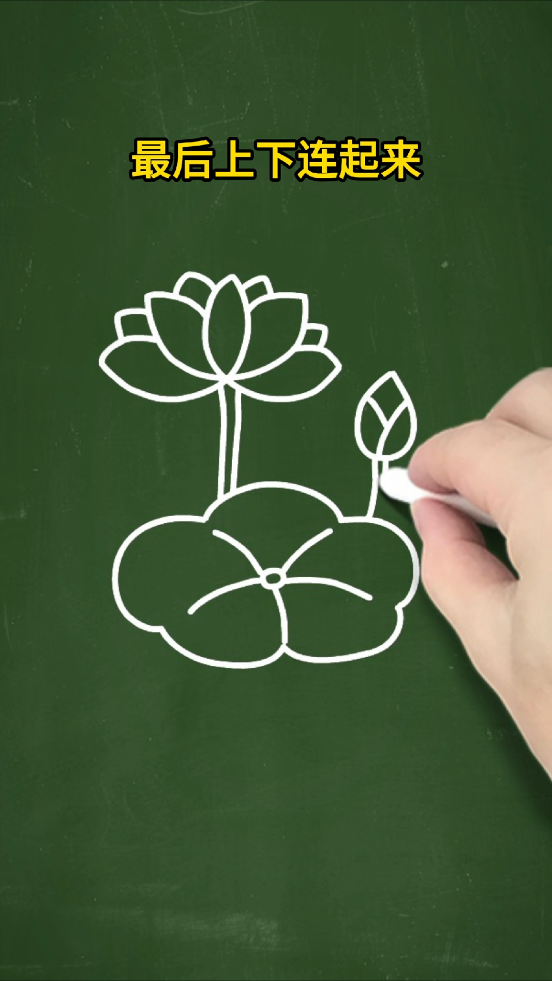 10秒学会画荷花