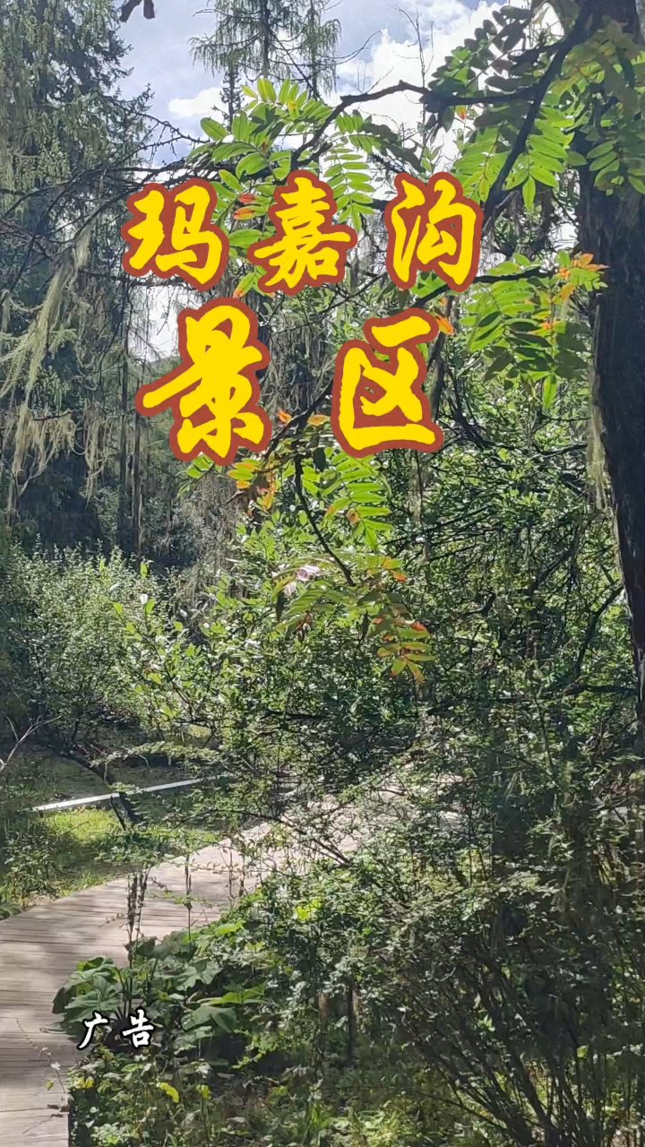 马家沟:四川隐秘高原仙境