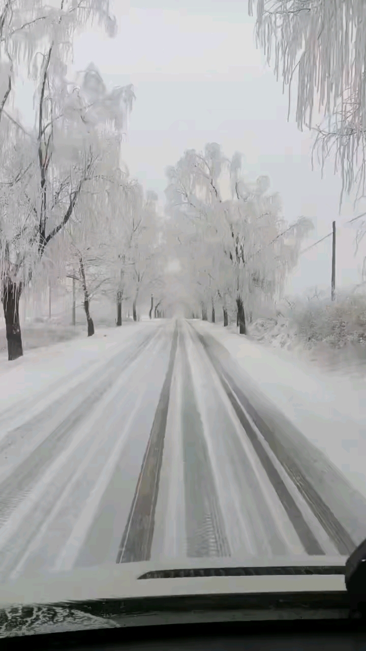 皑皑白雪天地为霜图片