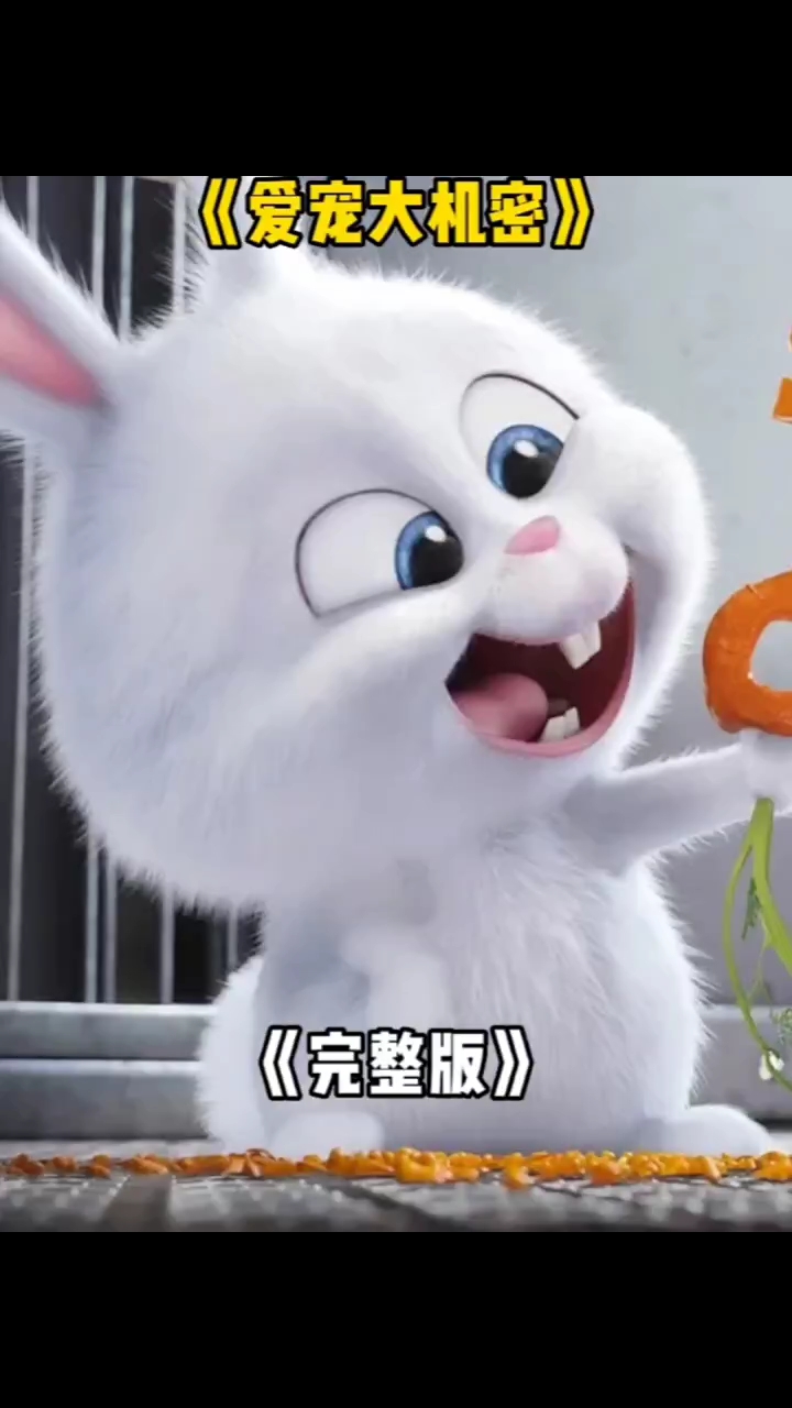 爱宠大机密完整版