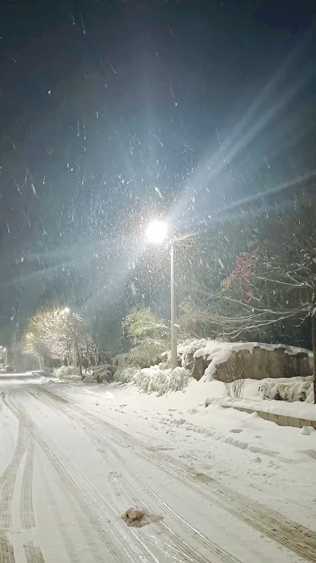 雪夜景图片大全唯美图片