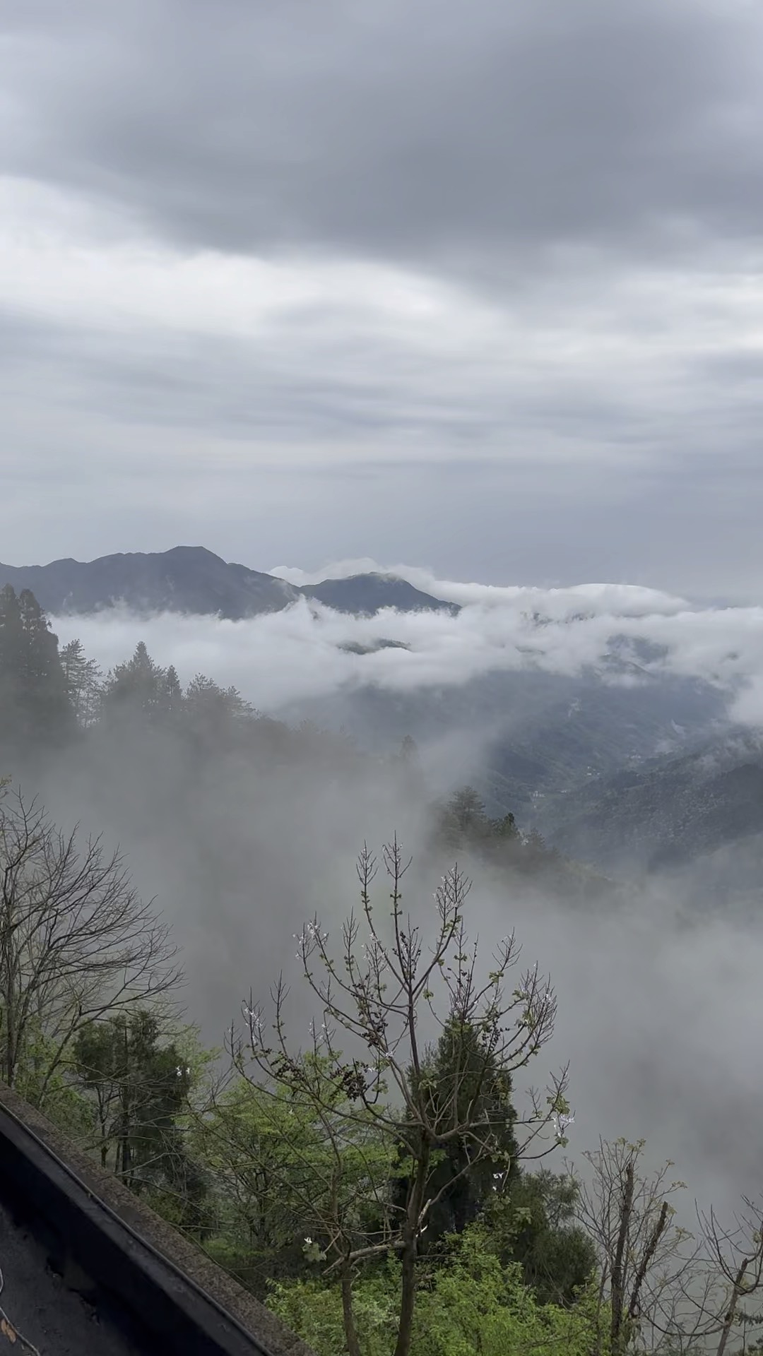 井冈山黄洋界景区:云海