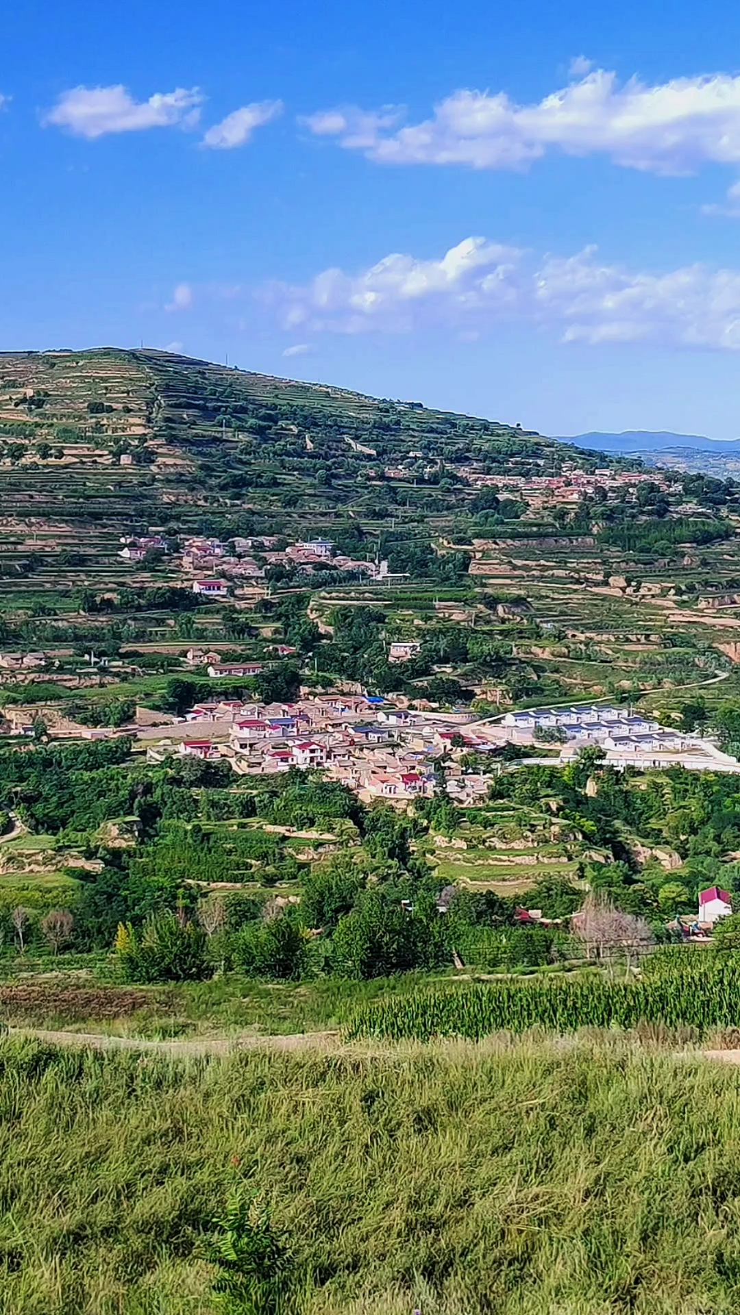平凉市庄浪县天气在线 平凉市庄浪县天气在线