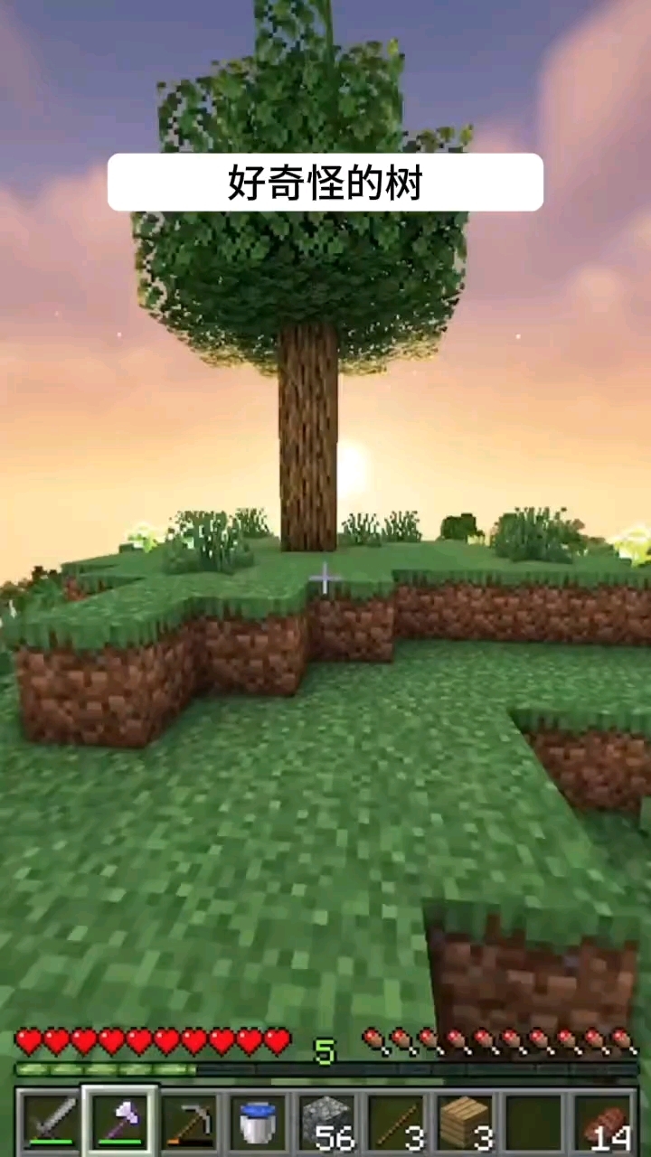 我的世界minecraft: 好奇怪的树