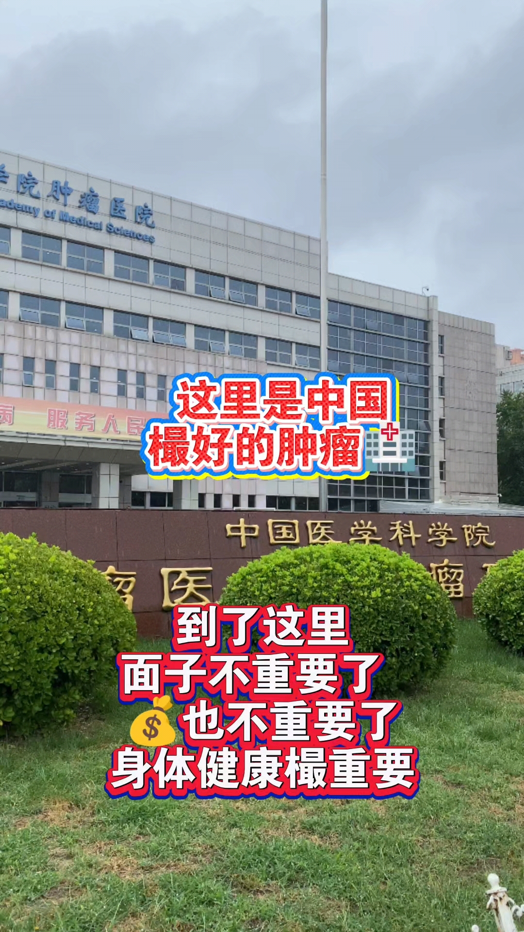 中国医学科学院肿瘤医院"医院黄牛是怎么抢号的"的简单介绍