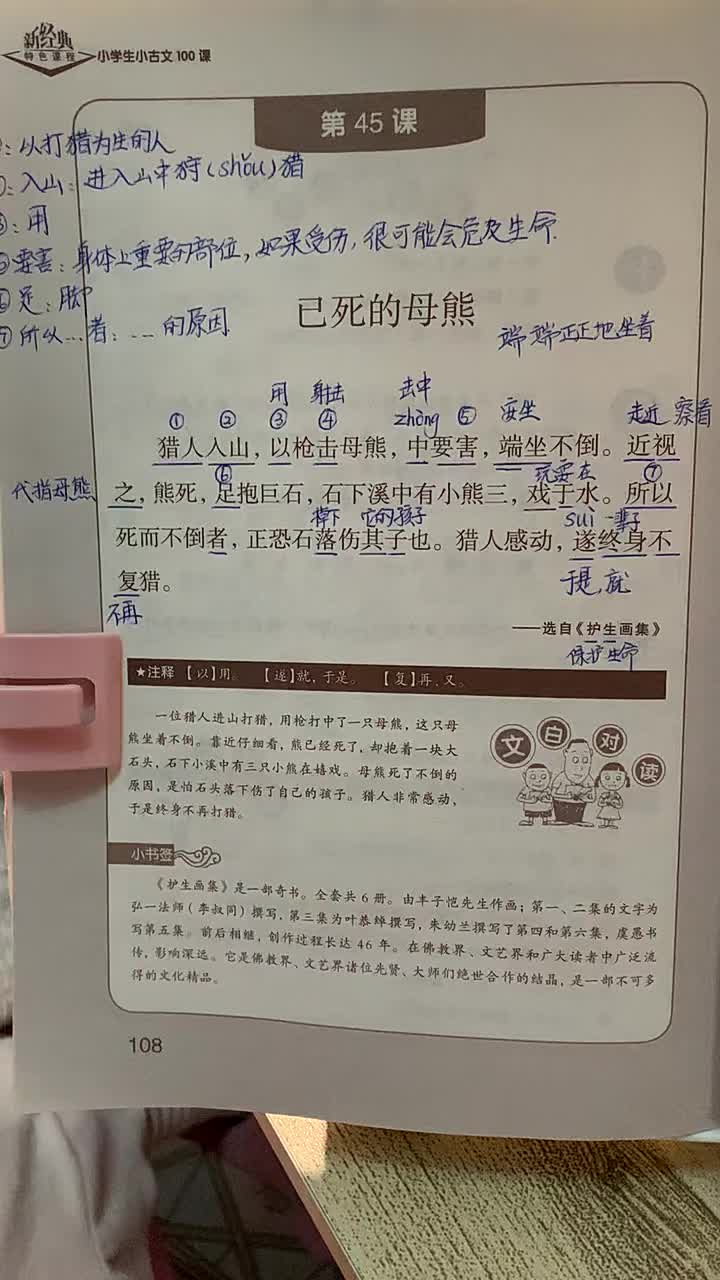 已死的母熊小古文图片