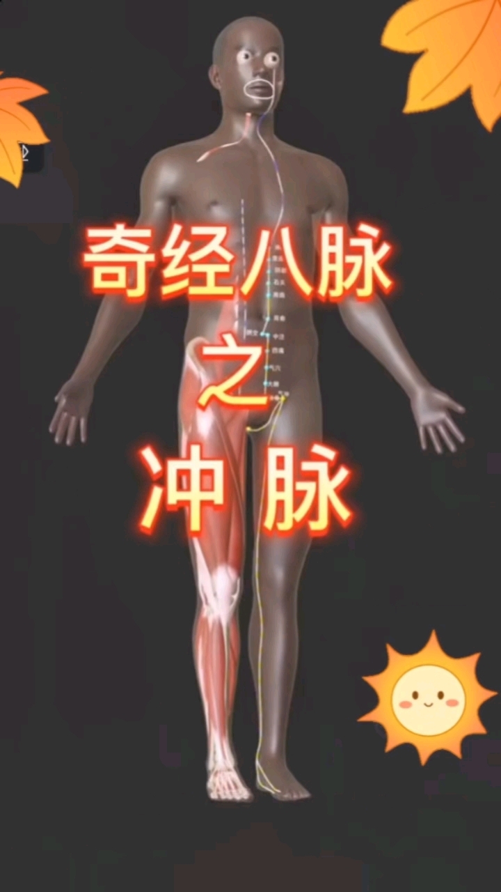 分享奇经八脉之冲脉