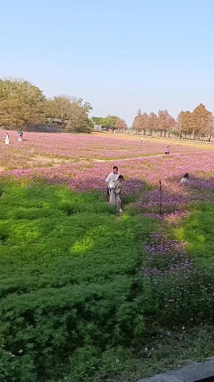 田园风光无限,太完美了