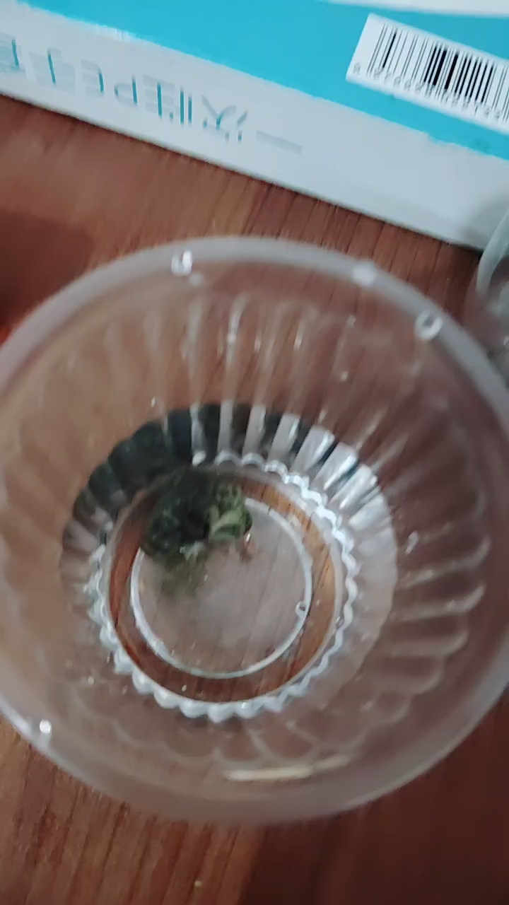 我们家刚养的小田螺