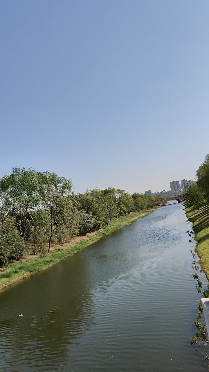 卫河泱泱,这可是古代大名鼎鼎的卫河