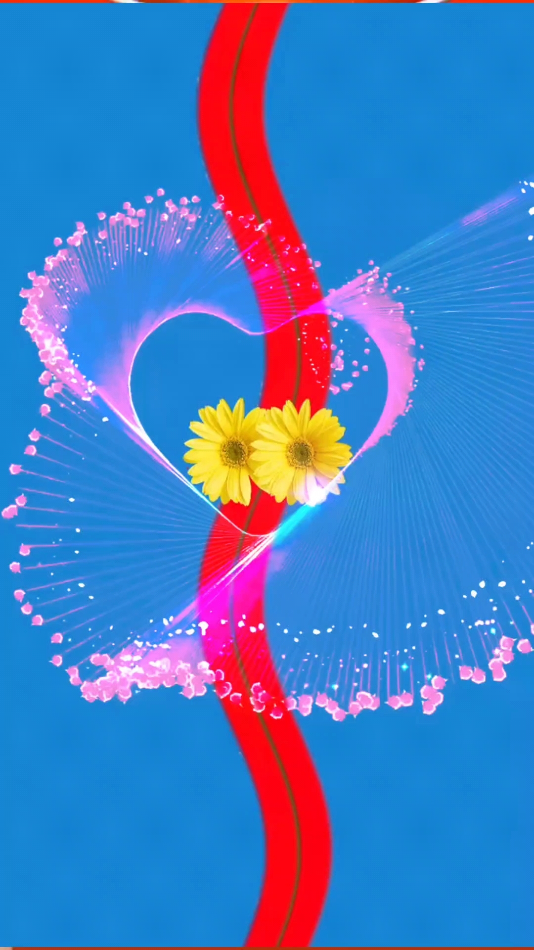 大网红我祝你一路长虹