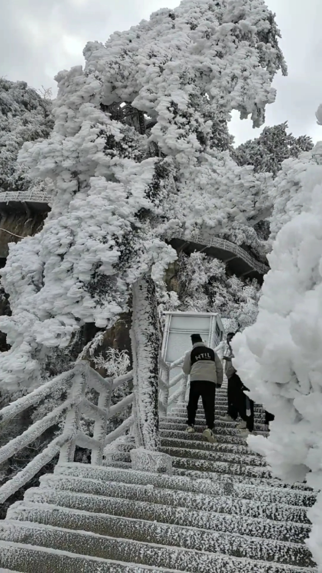 莽山五指峰雪景图片