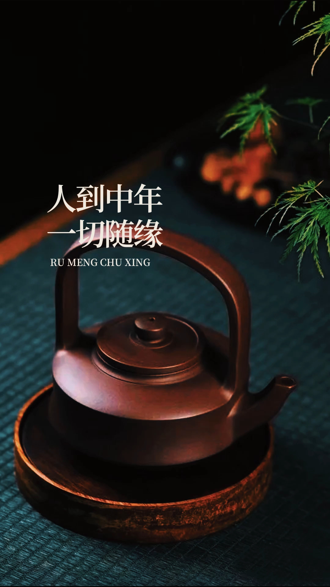 人到中年,一切随缘.