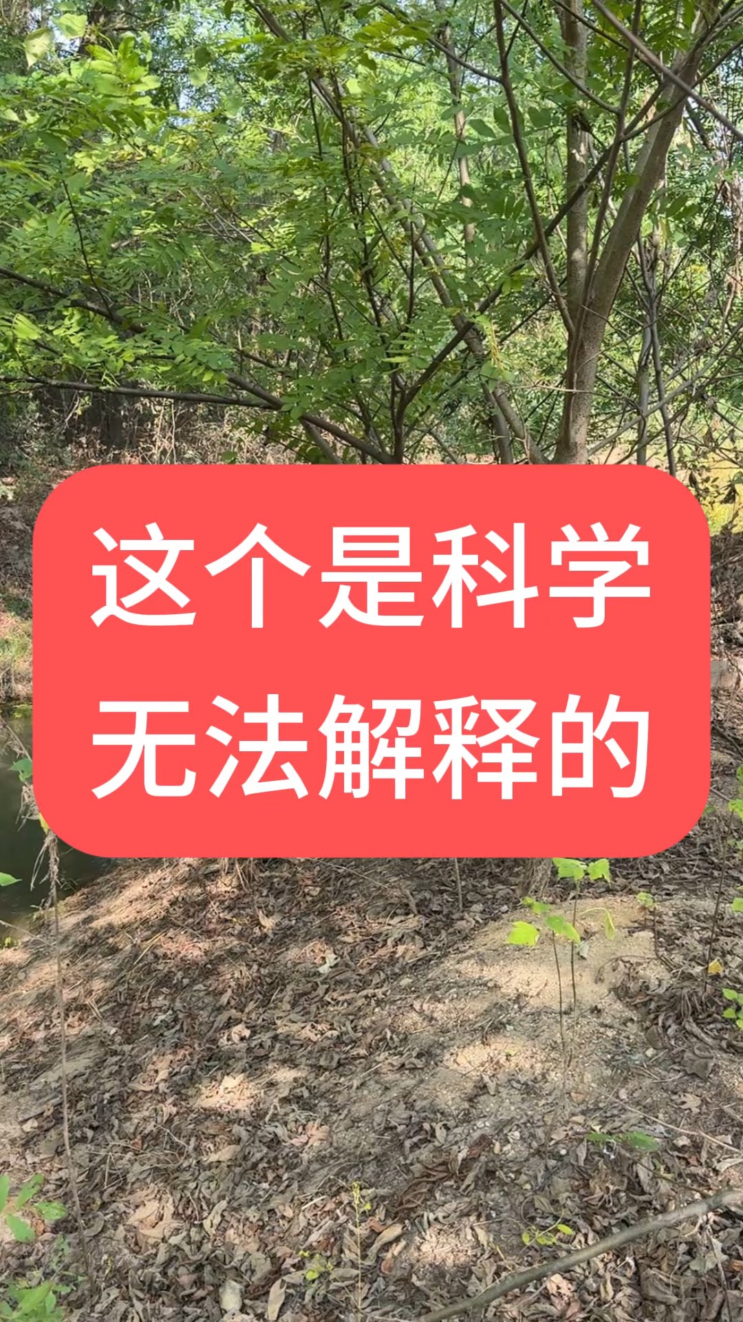 无法解释的照片图片