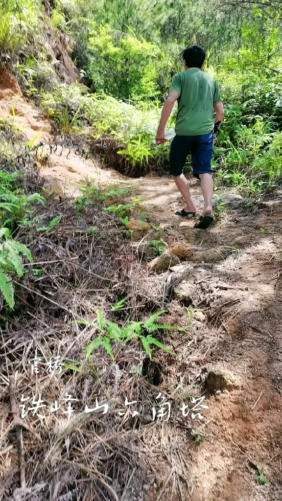 安溪官桥铁峰山图片