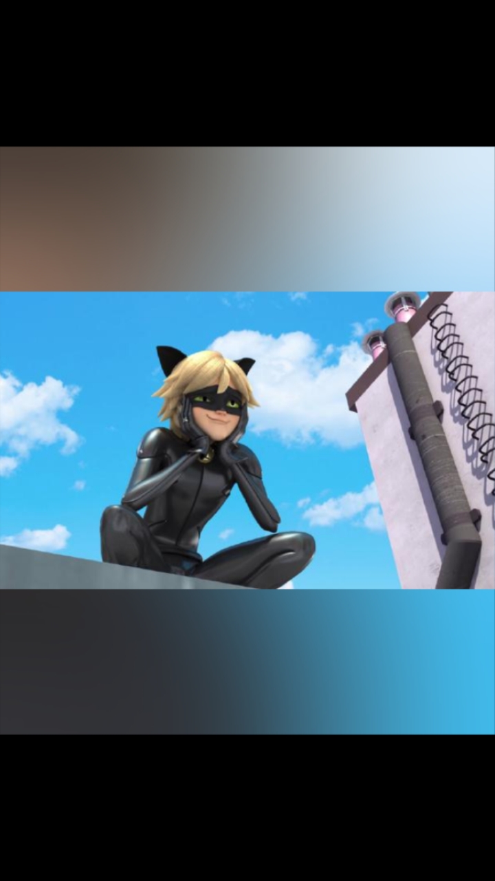 黑猫罗尔##帅气