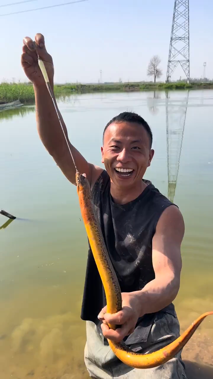 户外徒手抓鳝鱼回忆童年农村生活
