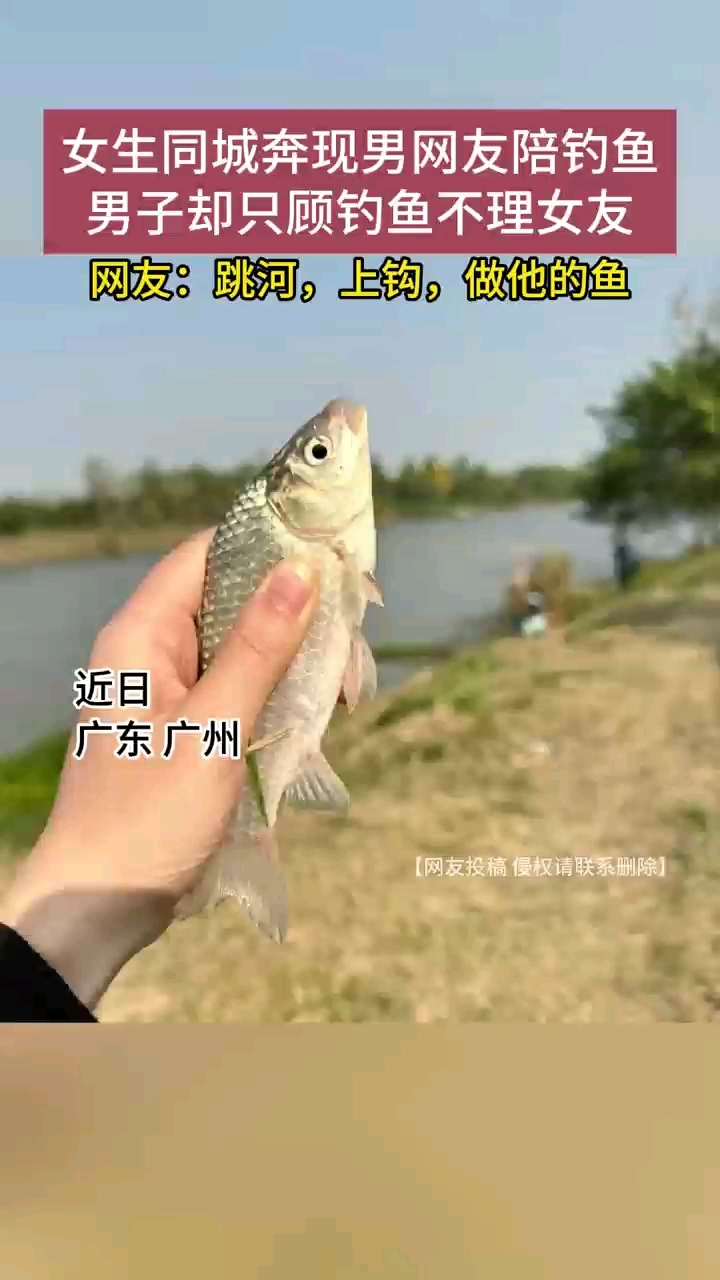 上钩做他的雨雨雨鱼