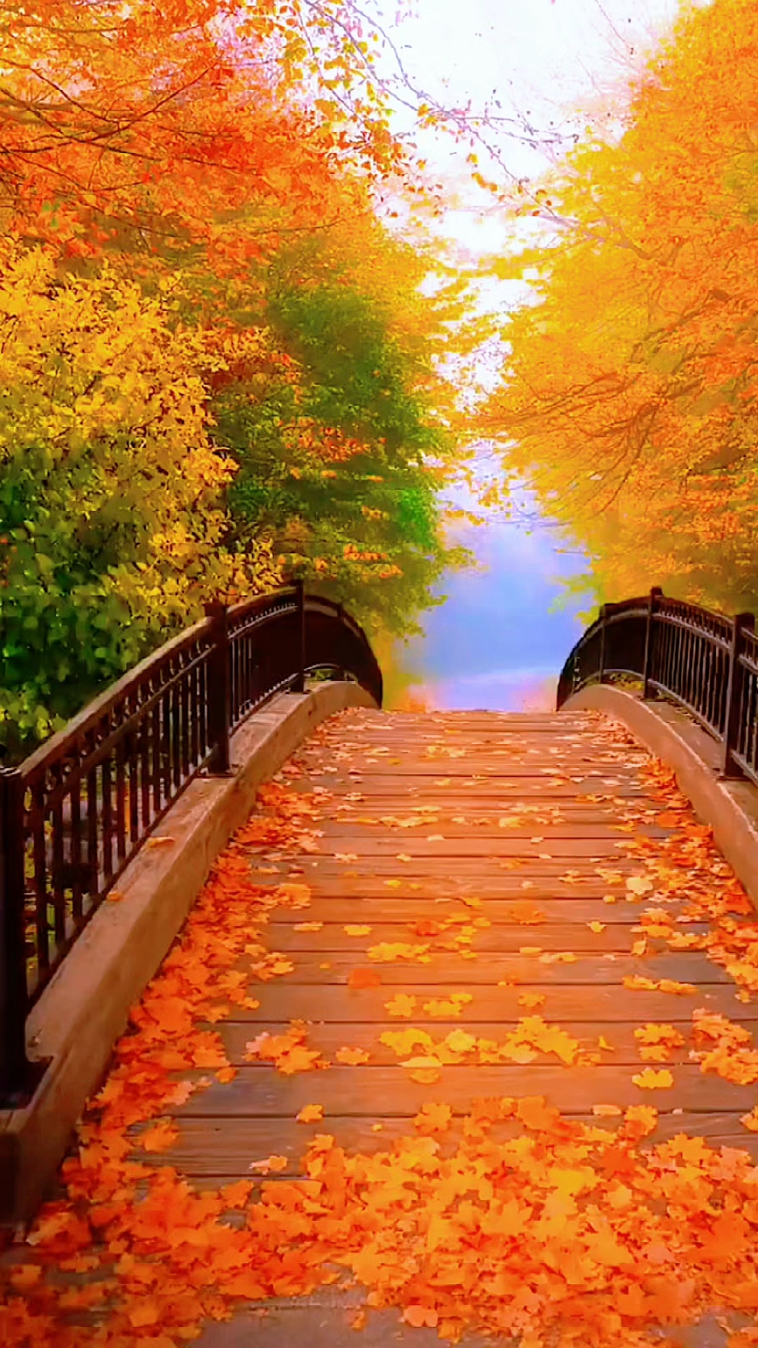 自然风景#秋天美景#治愈系风景