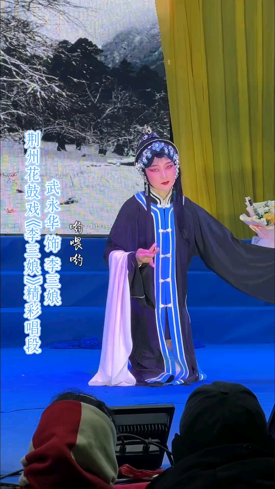湖北荆州花鼓戏,地方戏曲文化,青年戏曲传播者,演出现场视频
