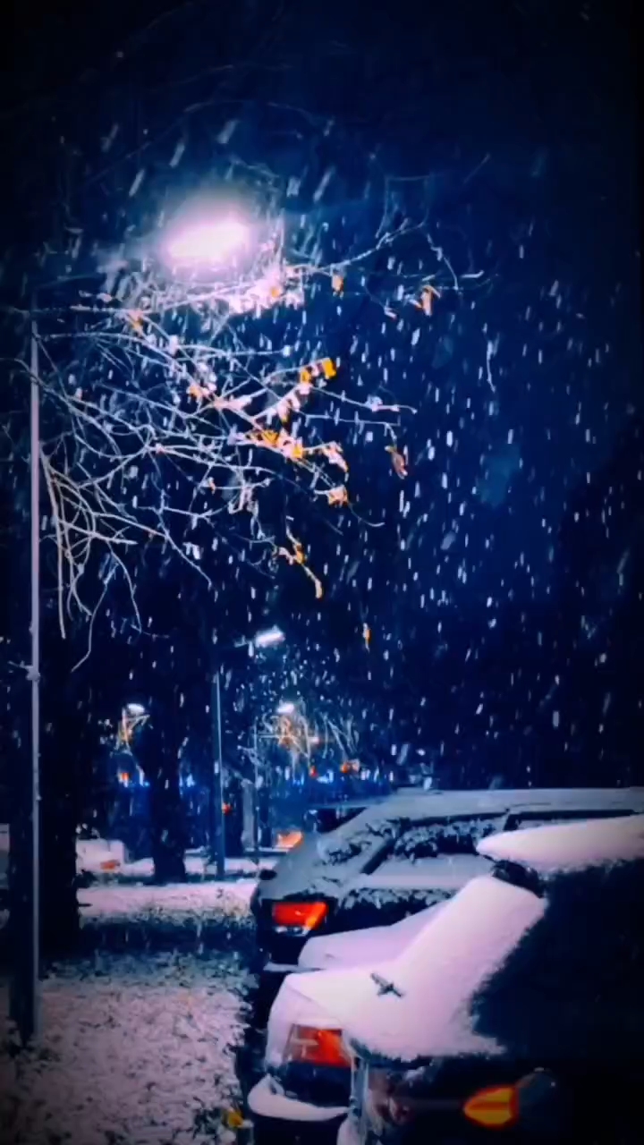 雪花飘落