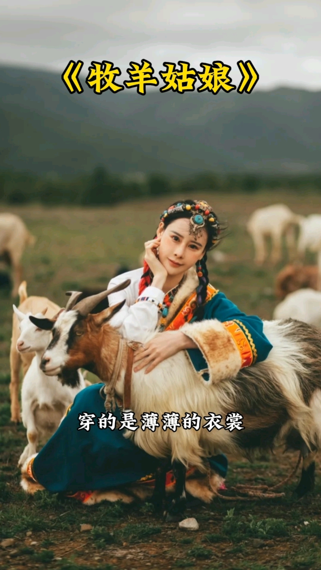 《牧羊姑娘》#歌曲"牧羊姑娘"#伤感情歌#分享大字